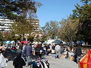 2013a_s