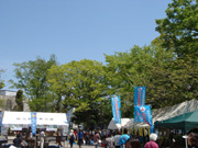 2014s_s